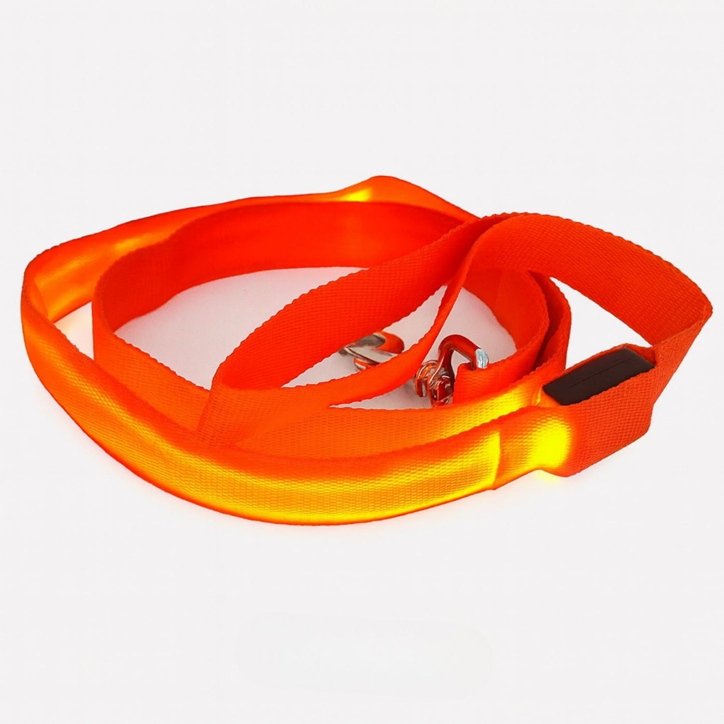Laisse pour chien avec lumière LED pour promenade nocturne
