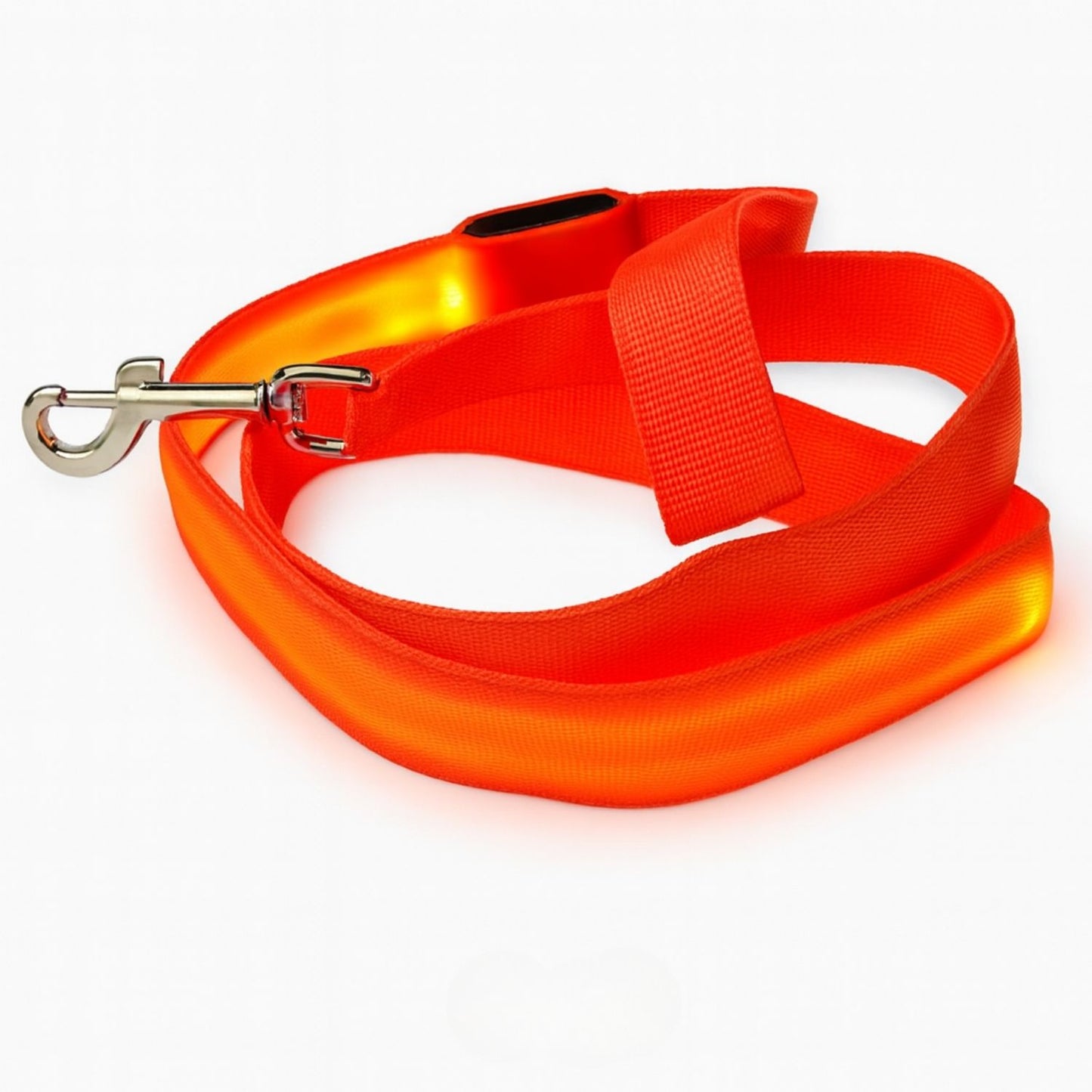 Laisse pour chien avec lumière LED pour promenade nocturne