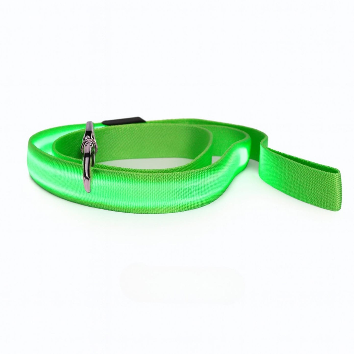 Laisse pour chien avec lumière LED pour promenade nocturne