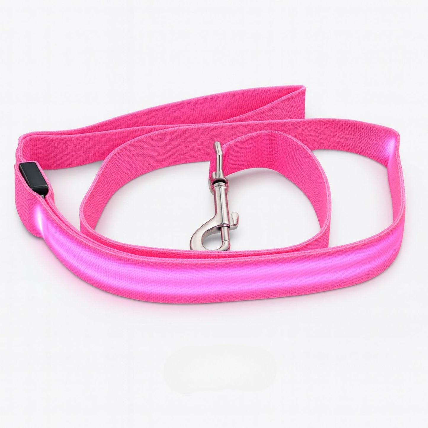 Laisse pour chien avec lumière LED pour promenade nocturne
