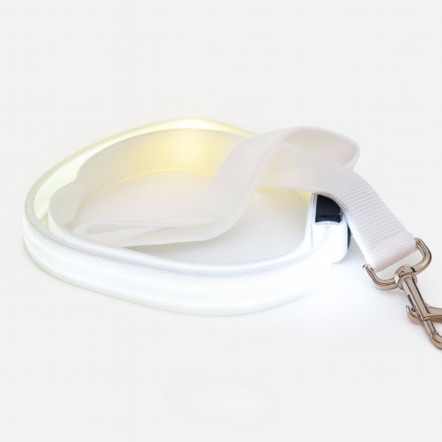 Laisse pour chien avec lumière LED pour promenade nocturne