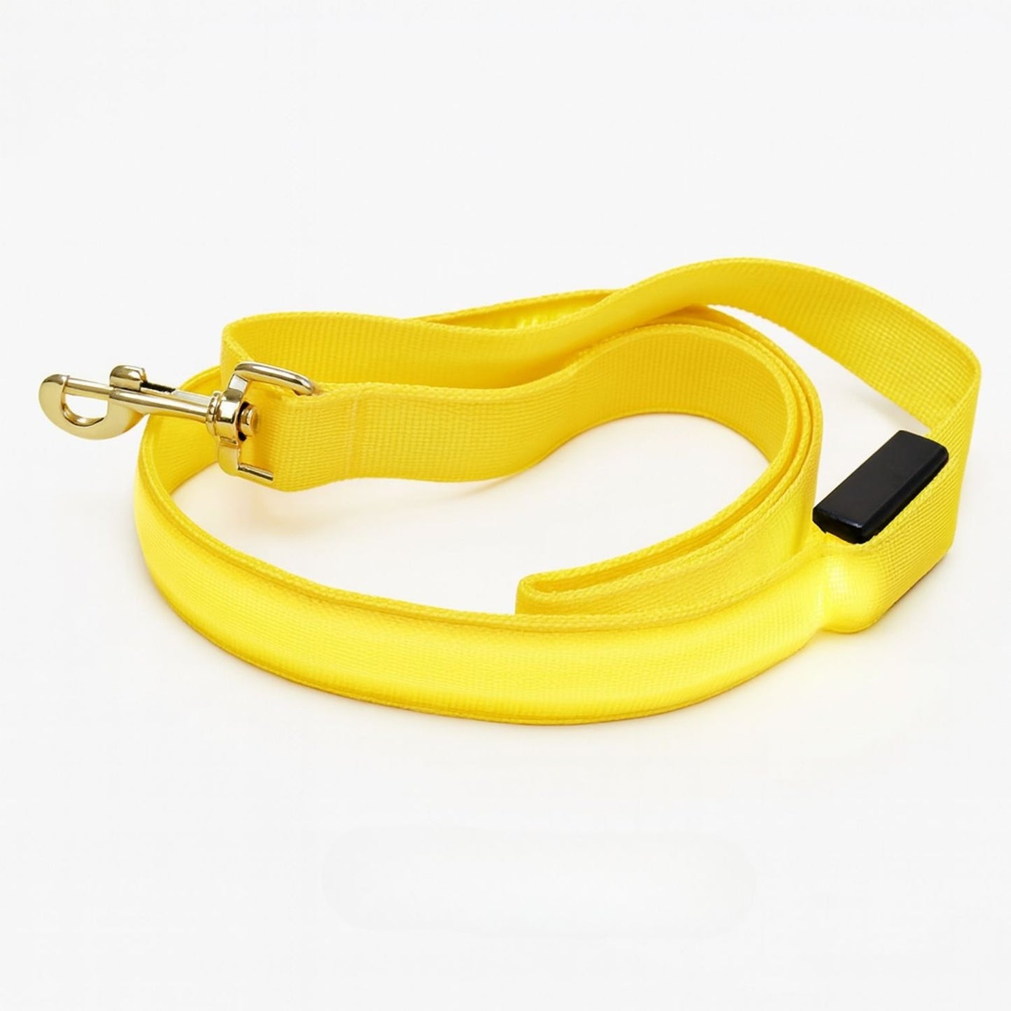 Laisse pour chien avec lumière LED pour promenade nocturne